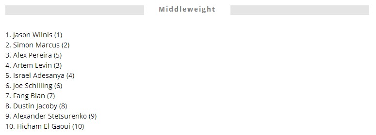 中国十大搏击手,世界最强排名前十的拳击手