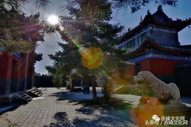 巴林鸡血石草原瑰宝,草原瑰宝巴林鸡血石