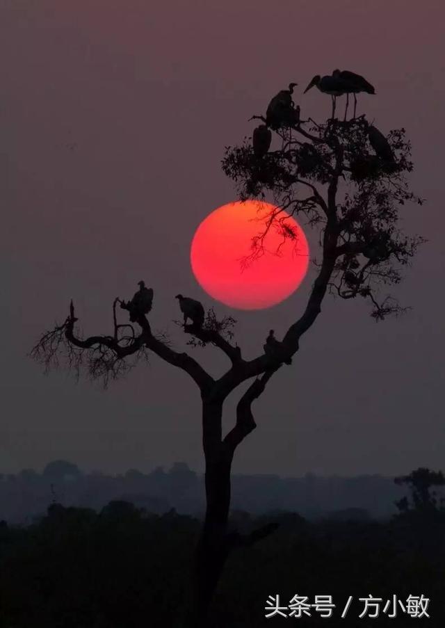 切洋葱熏眼睛,切洋葱搞笑段子