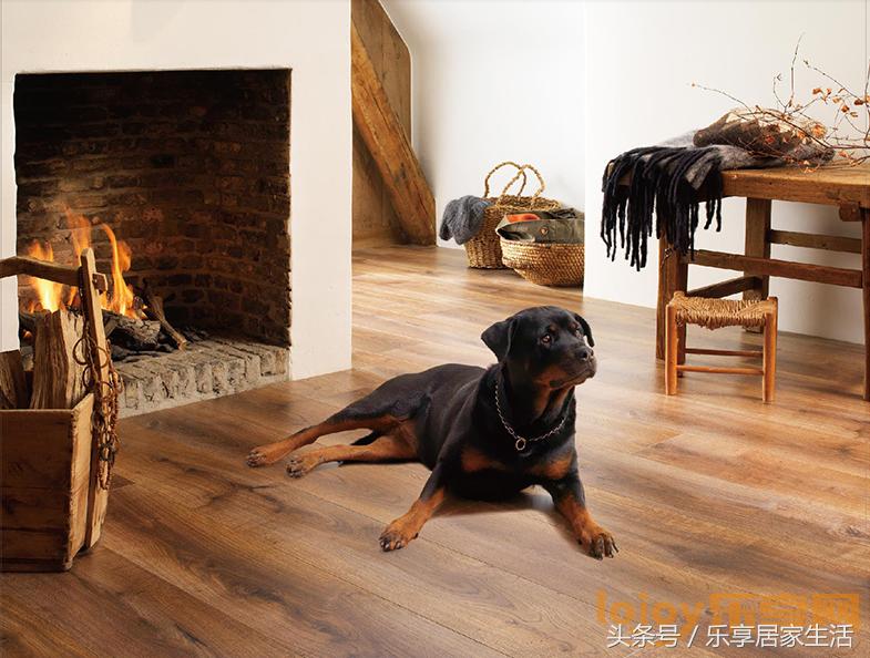 装修必备好产品,家装地板哪种最环保最流行还实惠
