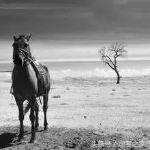 娑ㄥЭ鍔胯壊褰╁績鐞嗗,娑ㄥЭ鍔挎鑳介噺