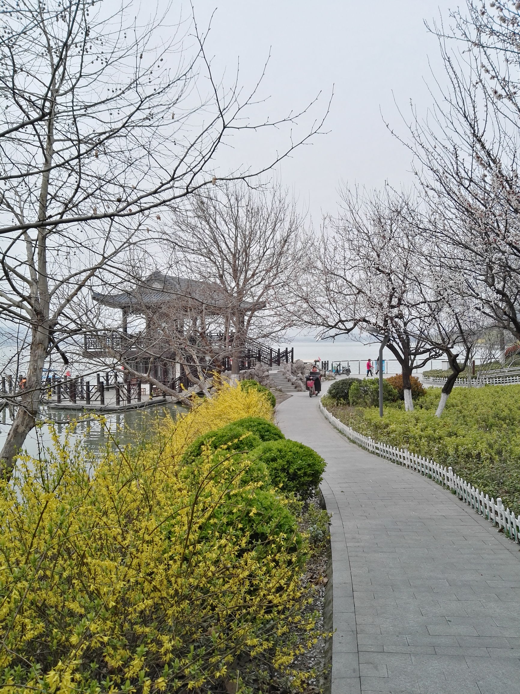 彭祖园好玩还是云龙湖好玩,徐州彭祖园好玩还是金龙湖好玩