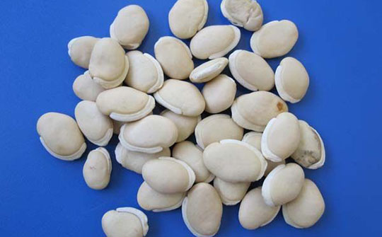 脾胃不适怎么吃水果,春季吃什么菜对脾胃好