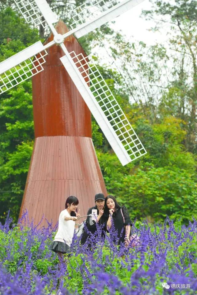 春暖花开正是踏青赏花的好时节,肇庆春日赏花的地方图片