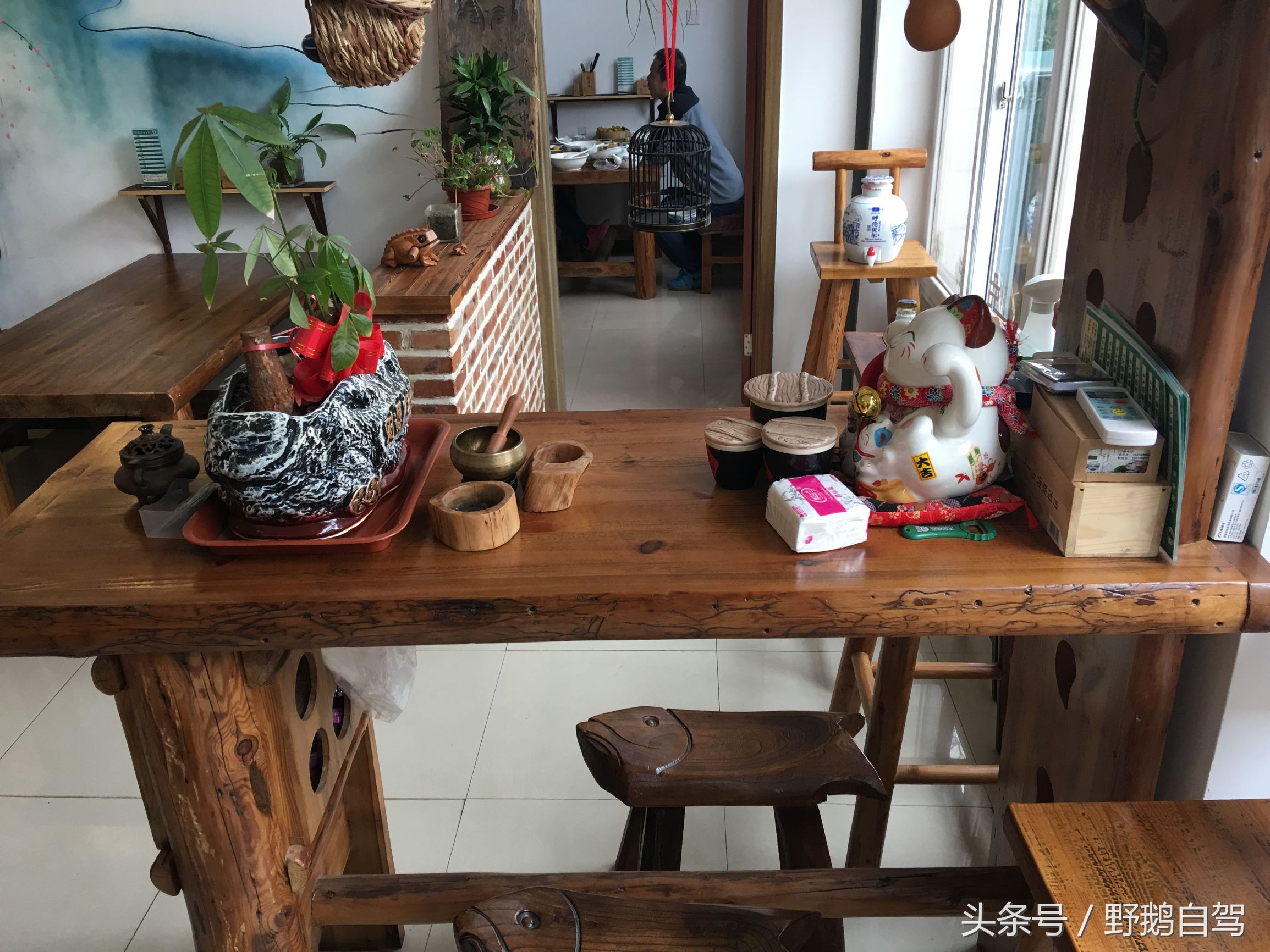 八达岭野生动物园野兽区,八达岭动物园自驾攻略大全