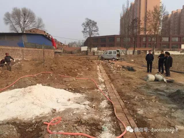 多肉为什么比较坑,多肉基础知识详解