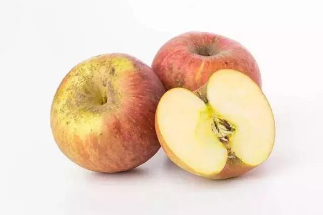 假苹果的特征,假苹果手机是什么样的