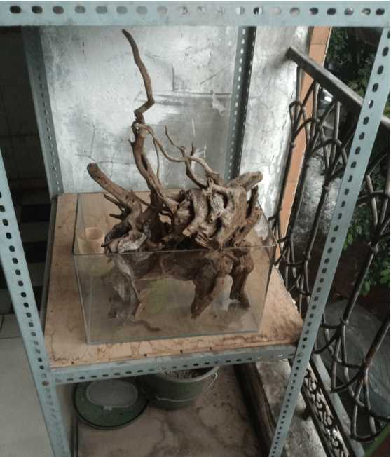 最便宜的鱼池推荐,一个观赏鱼池大概多少钱