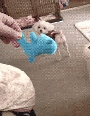 教大家如何用牙膏,牙膏怎么催眠