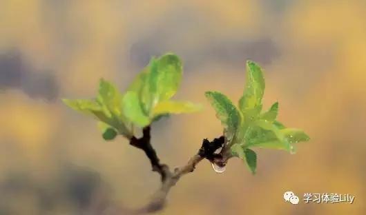 最后通牒怎么完成,最后通牒意思