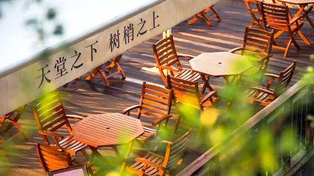 广州出发一小时去山里隐居,广州归隐山林的田园生活