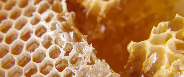 蜂胶能长期吃吗什么人适合吃蜂胶,蜂胶有几大作用