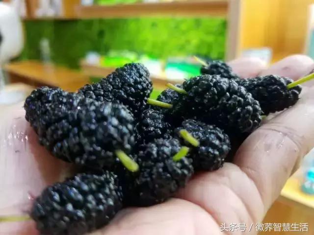 挡不住吃货的热情,挡不住的吃货热情