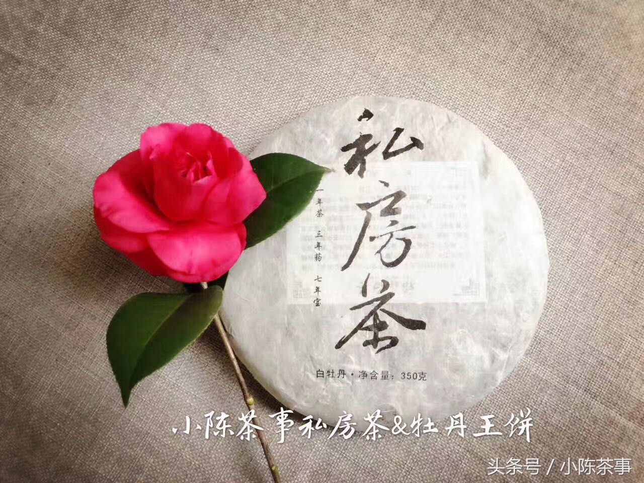 白茶潮湿还能喝吗,春天喝一壶新茶