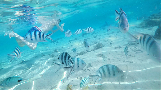 毛里求斯7天5晚自由行,毛里求斯旅游自由行价格