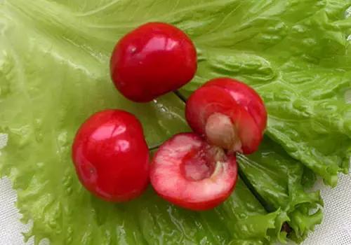 樱桃品种大全一览表,樱桃品种介绍大全