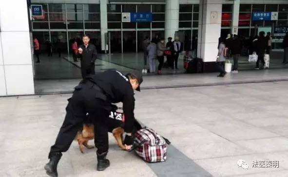 异性能闻到体香是上辈子的恋人吗,女生能闻到异性体香说明什么