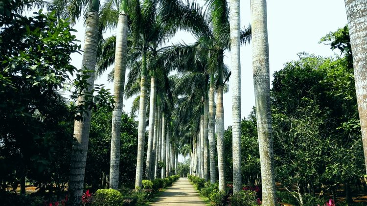 海南之旅感悟,海南行的点滴回忆