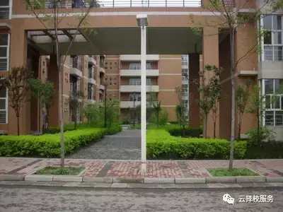 最帅的男生都在哪个学校,我国最帅十大高校男生