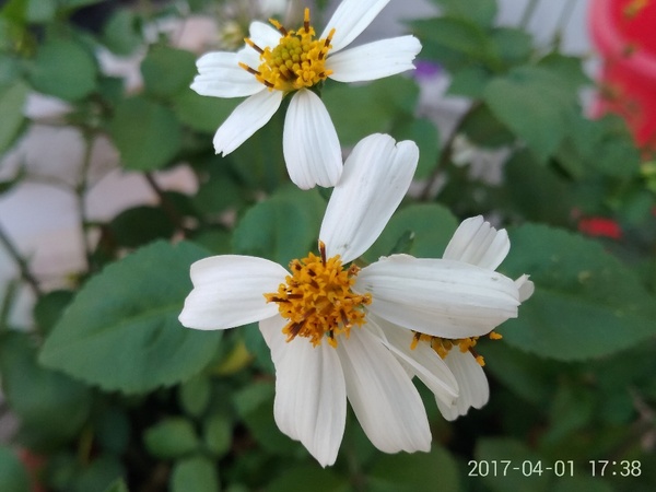 360手机360n5手机测评,6g运存平板测评