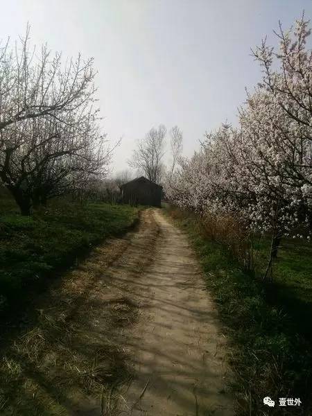 揭秘终南山隐士纪录片,探访终南山隐居的真实的生活