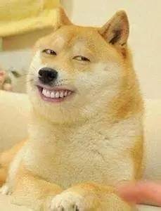 杨幂签约艺人选秀,杨幂签约的男歌手