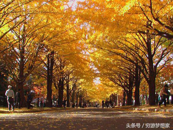 北京大学环境怎么样,北京大学环境与空间系