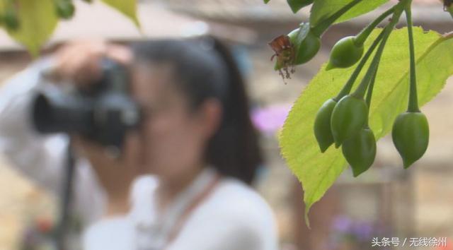 花爷的农村生活,花爷的乡间生活