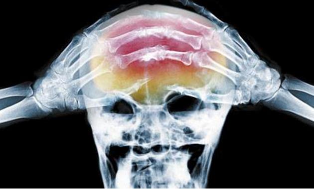 4月踏青赏花,4月赏花