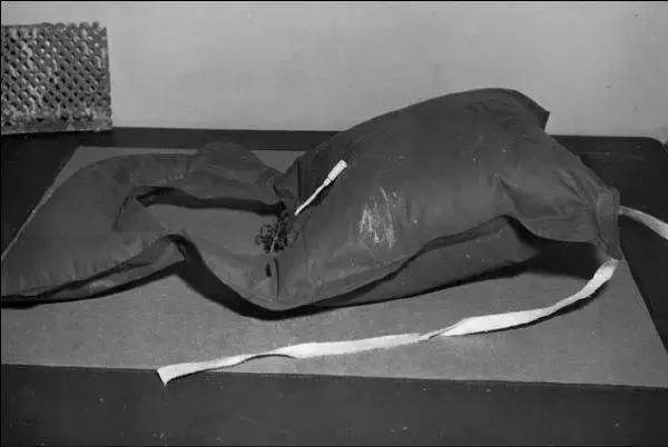 电影一座神奇的监狱,一个监狱在一个岛上电影