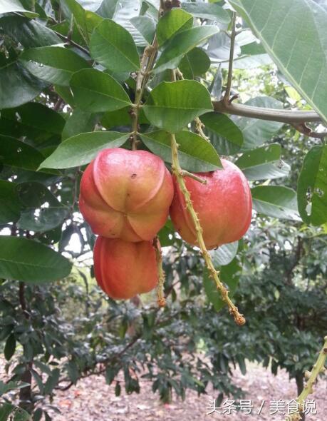 这6种美食建议远离别不当回事,可怕的四种美食一定要小心