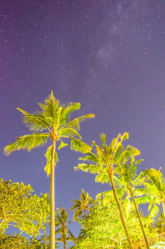 巴厘岛spa旅游游记 (巴厘岛悦榕庄游玩攻略)