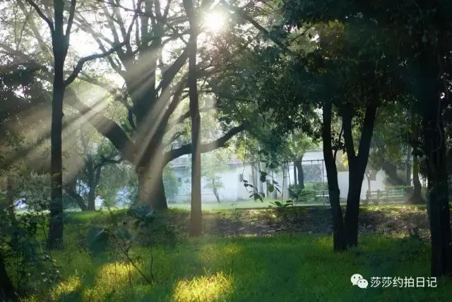 斯里兰卡旅游线路图高清,斯里兰卡自由行旅游攻略