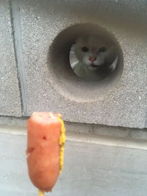 让老外羡慕的4大国货,让外国人惊艳的国货