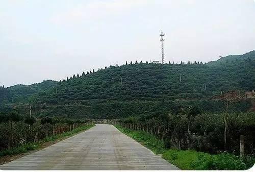 唐山国家级旅游度假区,唐山最好的旅游小镇