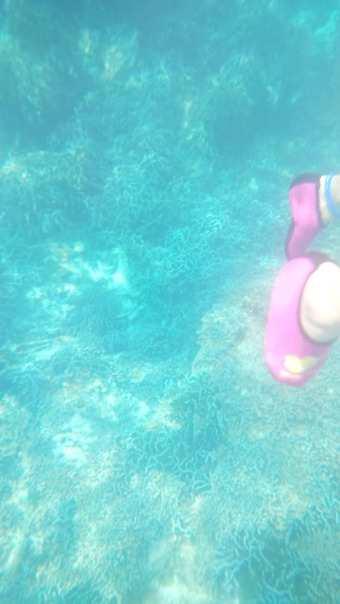 去普吉岛跟团游6天5晚整体多少钱,刚从普吉岛回来跟团游6天5晚