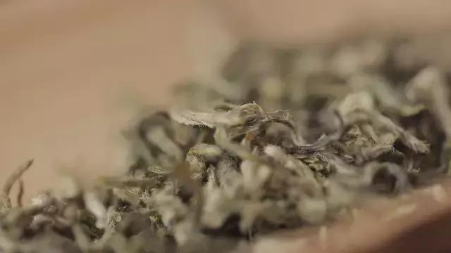 云南碧螺春和苏州碧螺春的区别,苏州哪里可以买到真正碧螺春