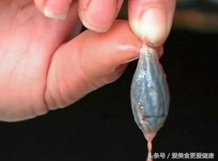 中华鲟鱼哪个部位有毒,裸斑鱼哪个部位有毒