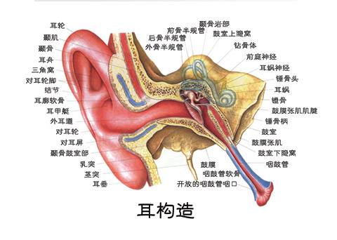 头时不时的有眩晕症状是什么原因,造成眩晕的十大原因