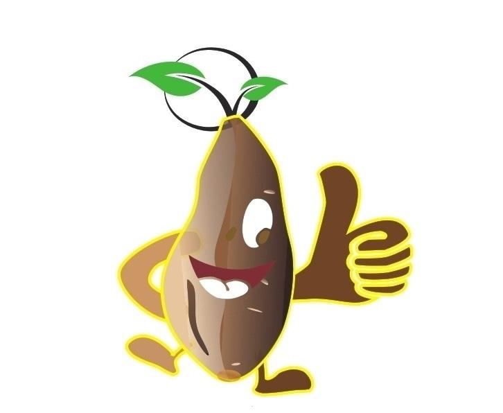 地瓜减肥法的正确做法,地瓜减肥法靠谱吗