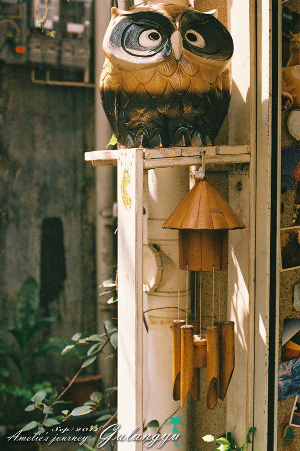 鼓浪屿旅行攻略玩乐攻略,鼓浪屿旅行攻略大全最新