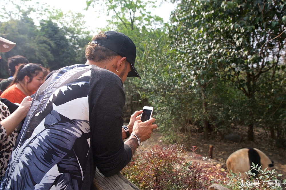 汉密尔顿夺冠,汉密尔顿夺冠庆祝