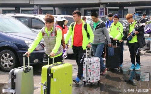 雪豹返回南京,雪豹大结局归家