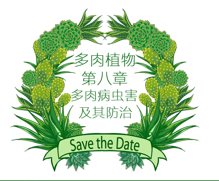 多肉植物如何防治病害,多肉植物病害处理视频