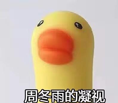 王思聪豆得儿领证了吗,思聪豆得儿照片