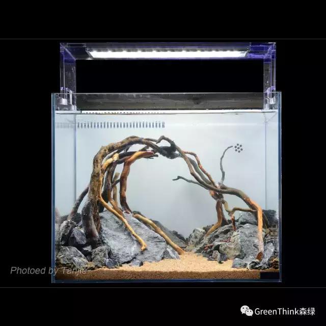 水草缸造景大师视频大全,水草造景大师