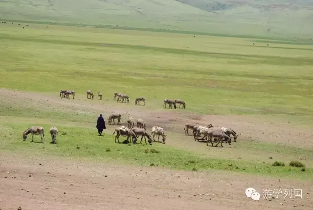 一生必去一次的非洲坦桑尼亚｜回归狂野