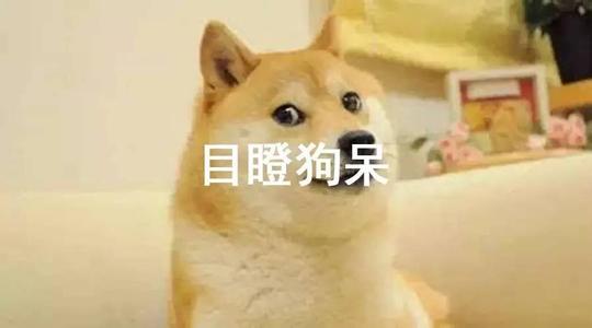 狗狗得了细小会便血吗,狗狗便血不呕吐活泼