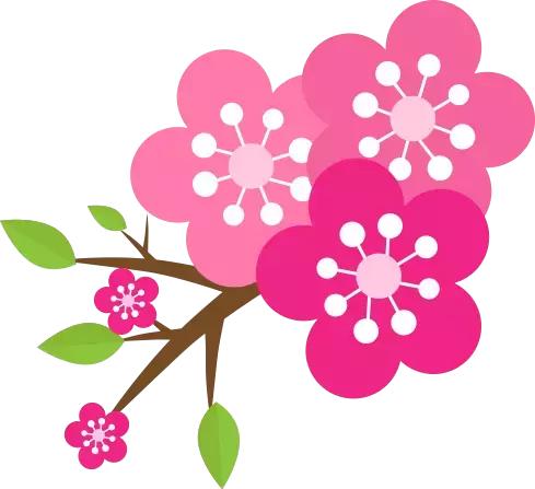 秋养肺食疗,春季养肺食谱大全