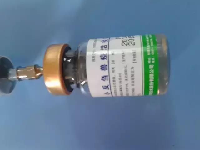 养羊必备的5种防疫知识,最近养羊人需注意这几大病害